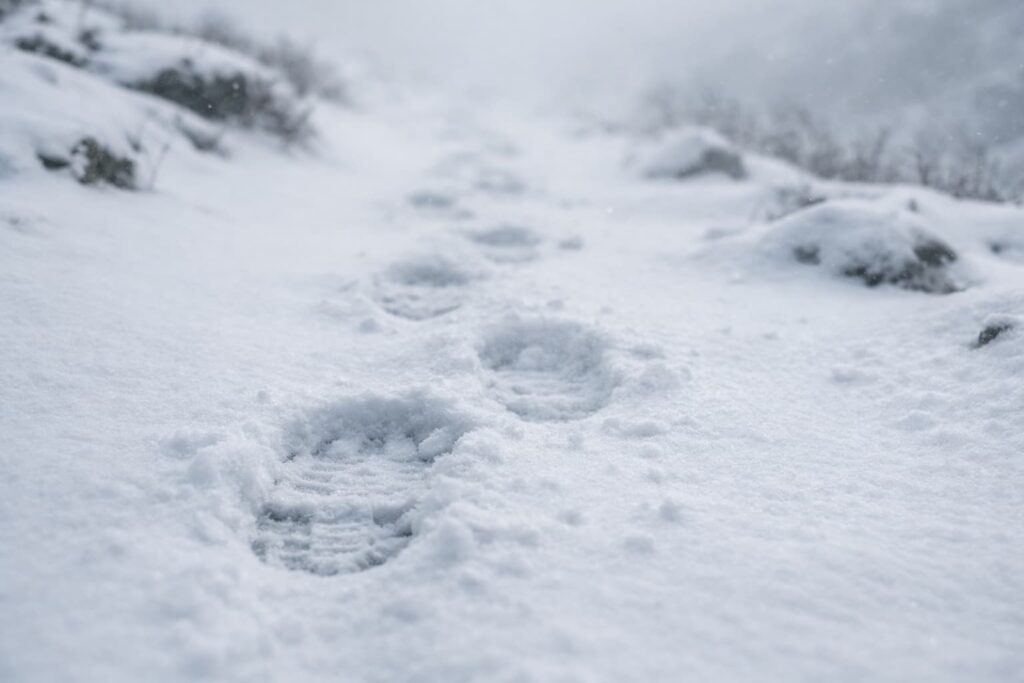 足跡が、残らなかった週。
